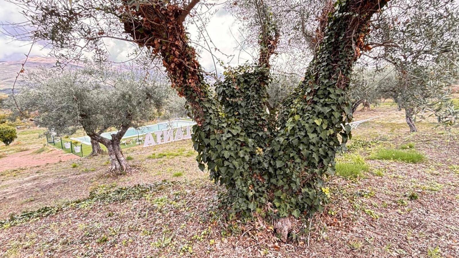 Casa Rural Atalanta De La Vera Jaraiz de la Vera Buitenkant foto